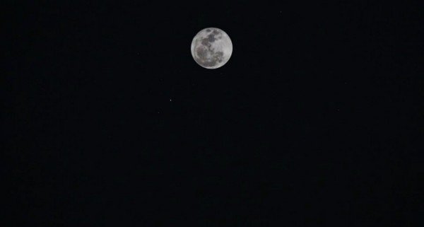 videos for instagram